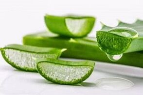 Aloe para o tratamento da prostatite