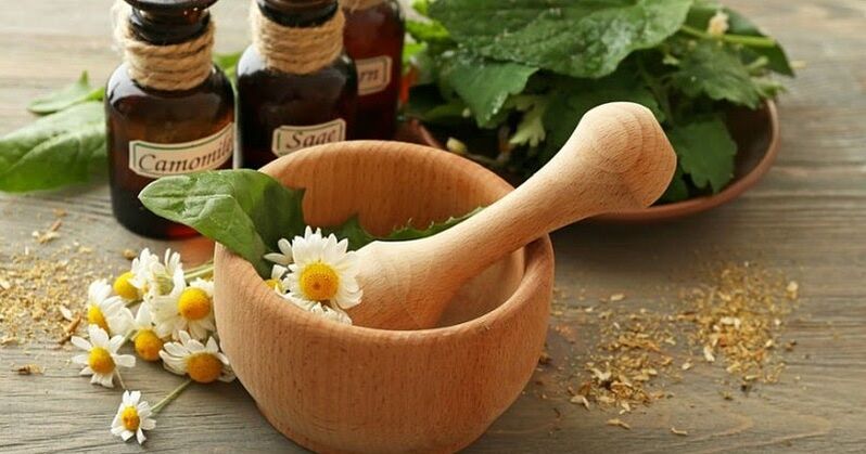 Manzanilla para prostatite