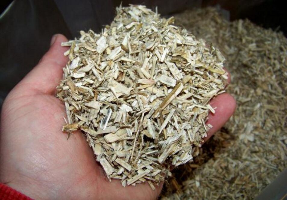 Casca de Aspen para preparar unha tintura medicinal para a prostatite nos homes
